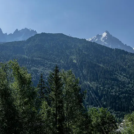 Apartment Coeur Des Alpes - A Spacious 3-bedroom With Spectacular Views